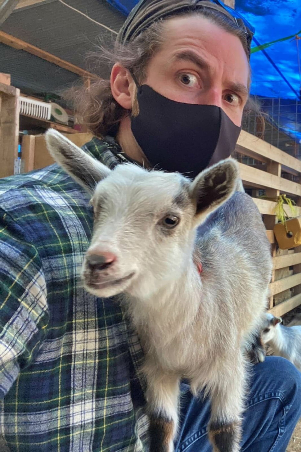 Get Your Goat Yugawara  Kanagawa Akiya Inaka
